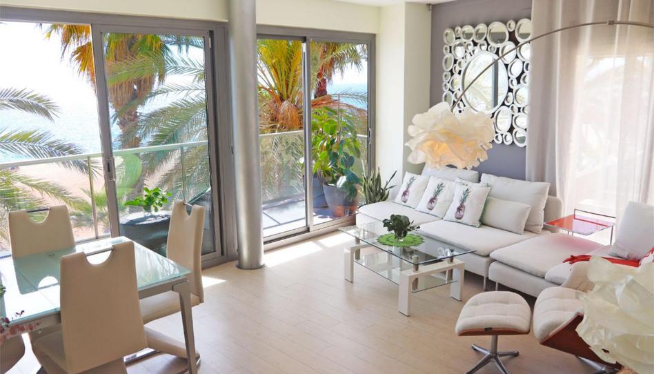 Pis de lloguer a Passeig Marítim, 23, Port, Barcelona - imatge 1 Foto 1 de Pis de lloguer a Passeig Marítim, 23, Port, Barcelona