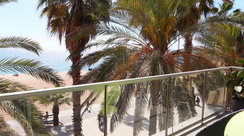 Pis de lloguer a Passeig Marítim, 23, Port, Barcelona - imatge 5 Foto 5 de Pis de lloguer a Passeig Marítim, 23, Port, Barcelona