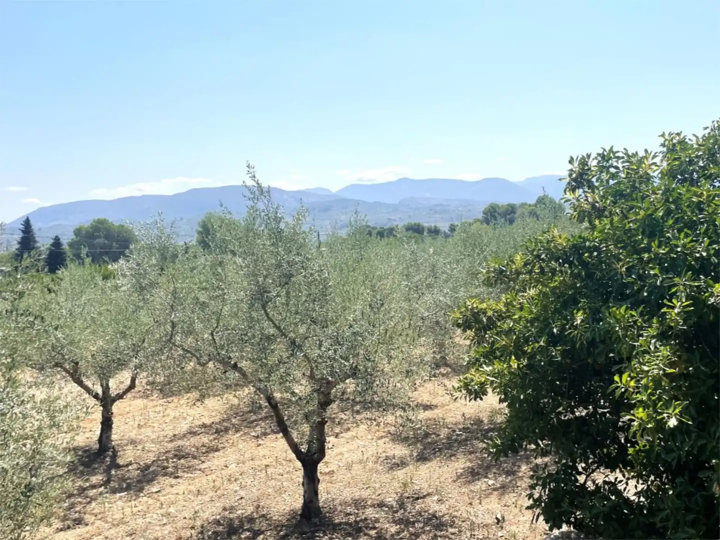 Flat for sale in Cocentaina  with Heating, Private garden and Terrace