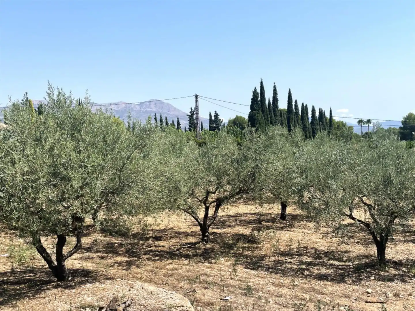 Flat for sale in Cocentaina  with Heating, Private garden and Terrace