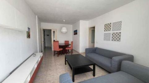 Flat to rent in La Minilla, Las Palmas - image 3 Photo 3 of Flat to rent in La Minilla, Las Palmas