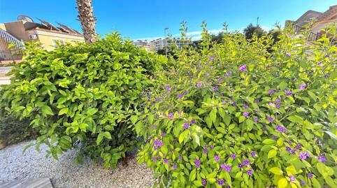 Photo 5 of Single-family semi-detached for sale in Calle Paraguay, 15, Villamartín - Las Filipinas, Alicante