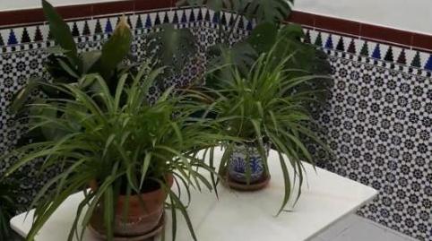 Single-family semi-detached for sale in Calle Martos, 38, Castro del Río, Córdoba - image 5 Photo 5 of Single-family semi-detached for sale in Calle Martos, 38, Castro del Río, Córdoba