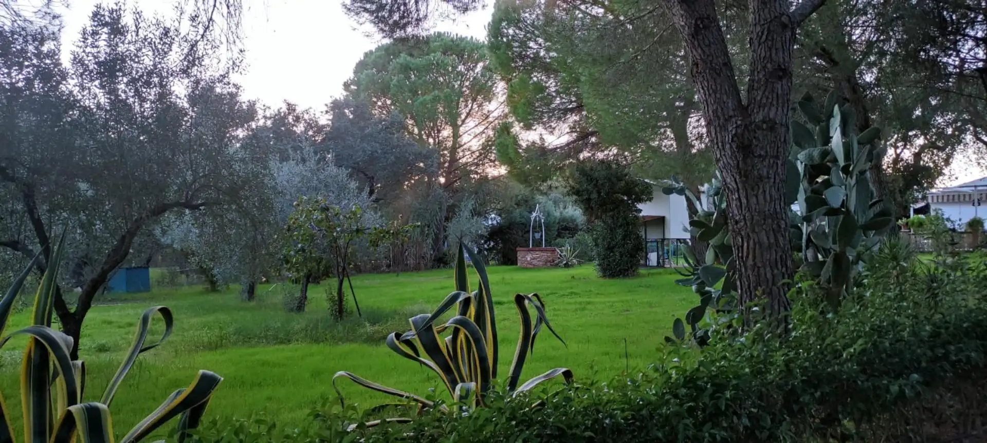 Casa o xalet en venda a Diseminado el Manantio 2, 9, Las Vaguadas Jardí de Casa o xalet en venda en Badajoz Capital amb Terrassa i Piscina
