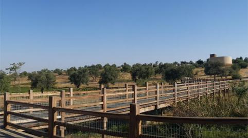 Single-family semi-detached to rent in Calle Rosa de Luxemburgo, 47, Aljamar, Sevilla - image 4 Photo 4 of Single-family semi-detached to rent in Calle Rosa de Luxemburgo, 47, Aljamar, Sevilla