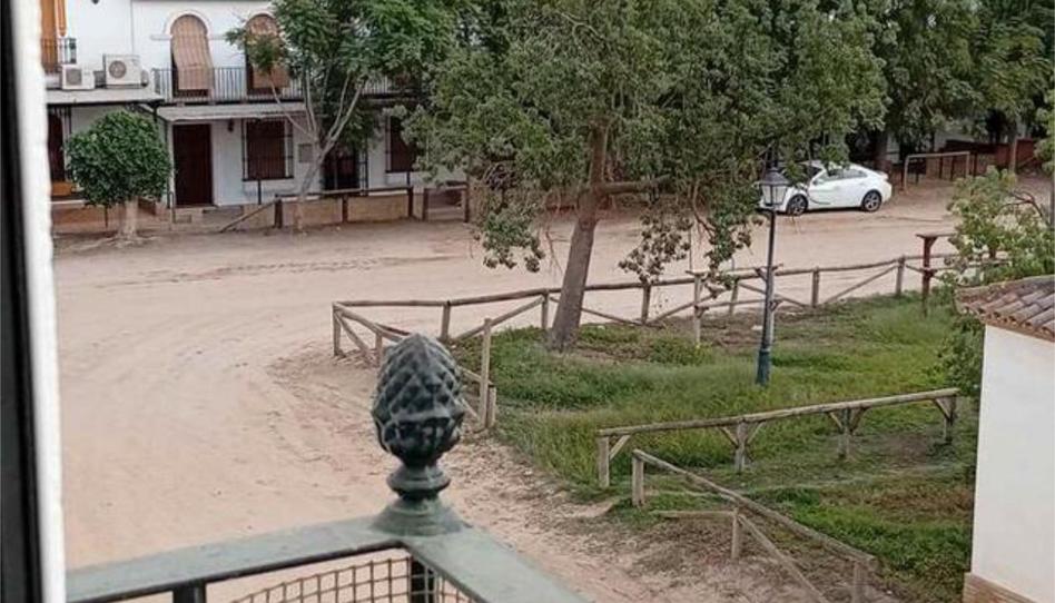 Foto 1 de Apartament de lloguer a El Rocío, Huelva