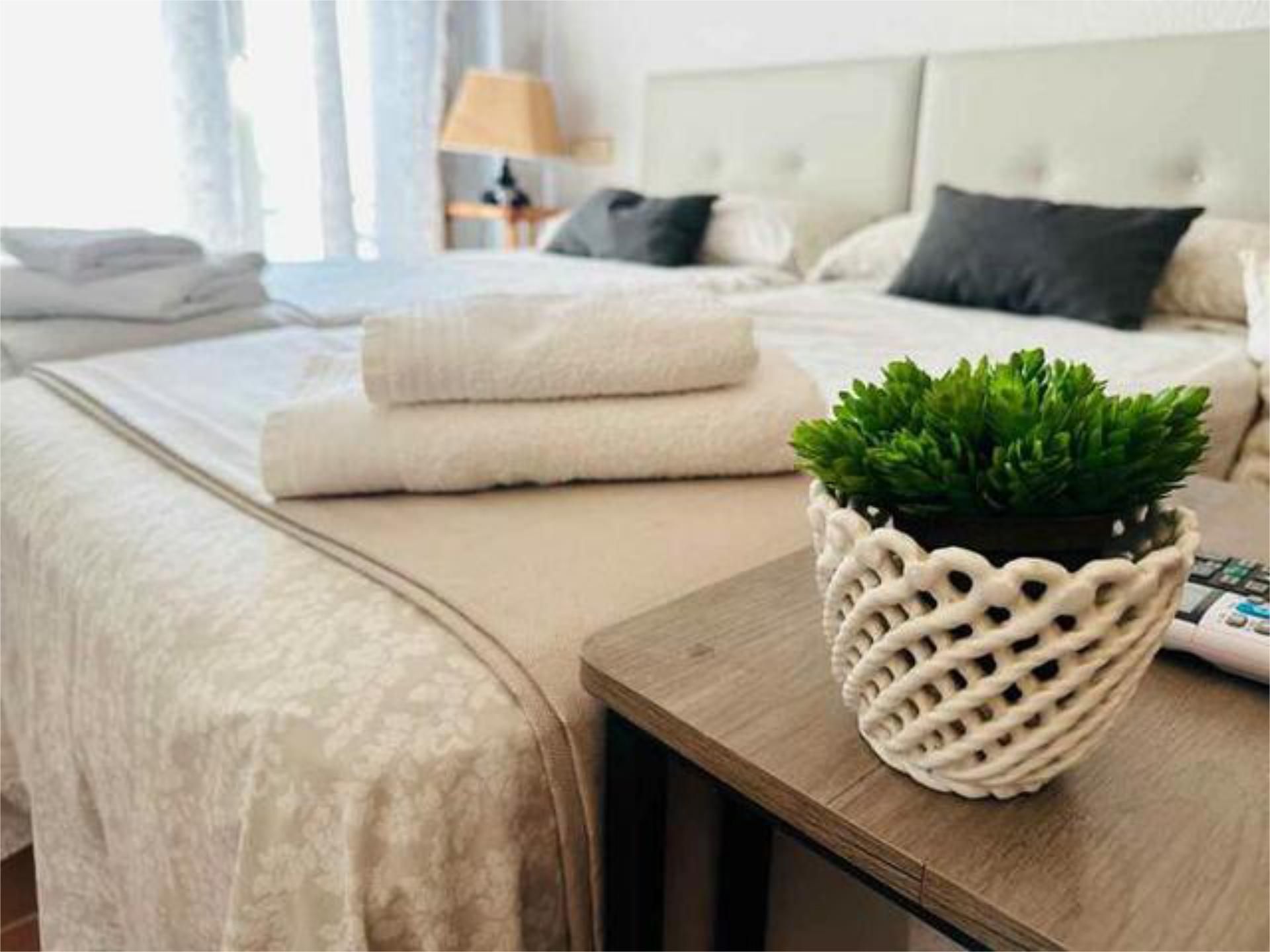 Apartamento de alquiler en El Rocío Apartamento de alquiler en El Rocío