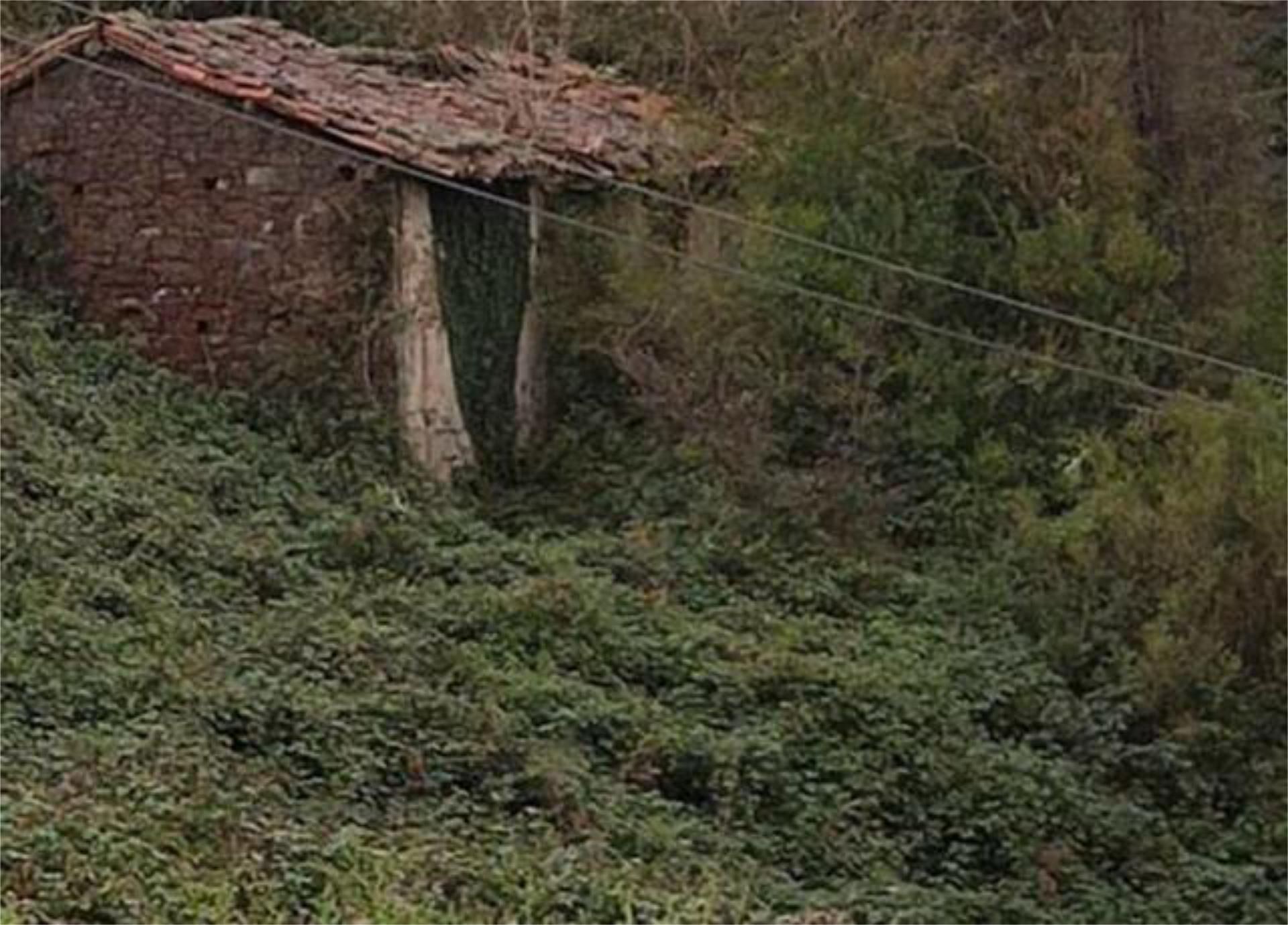 Casa o chalet en venta en Carbayin - Lieres - Valdesoto Casa o chalet en venta en Siero