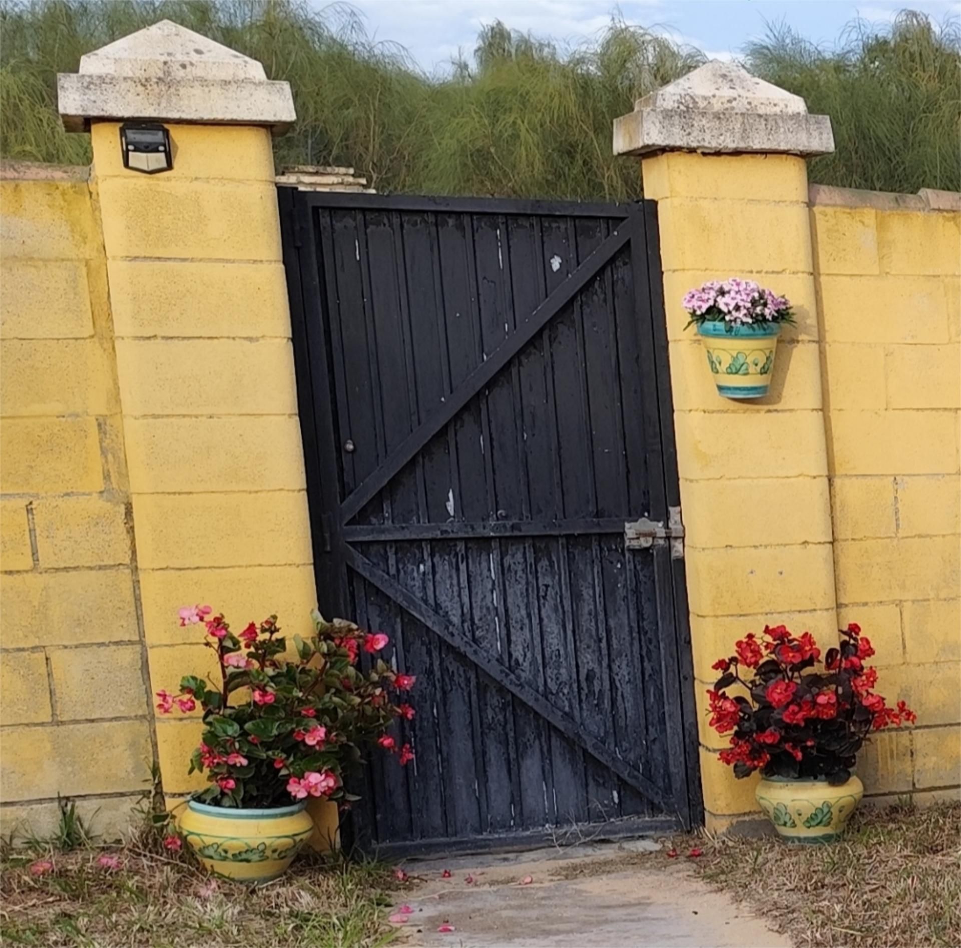 Casa o xalet de lloguer a Calle de la Candelaria, 2, Cuatro Pinos - El Carmen Jardí de Casa o xalet de lloguer en El Puerto de Santa María amb Jardí privat, Terrassa i Traster