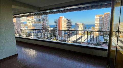 Flat to rent in Avinguda de la Costa Blanca, 129, Playa de San Juan, Alicante - image 3 Photo 3 of Flat to rent in Avinguda de la Costa Blanca, 129, Playa de San Juan, Alicante