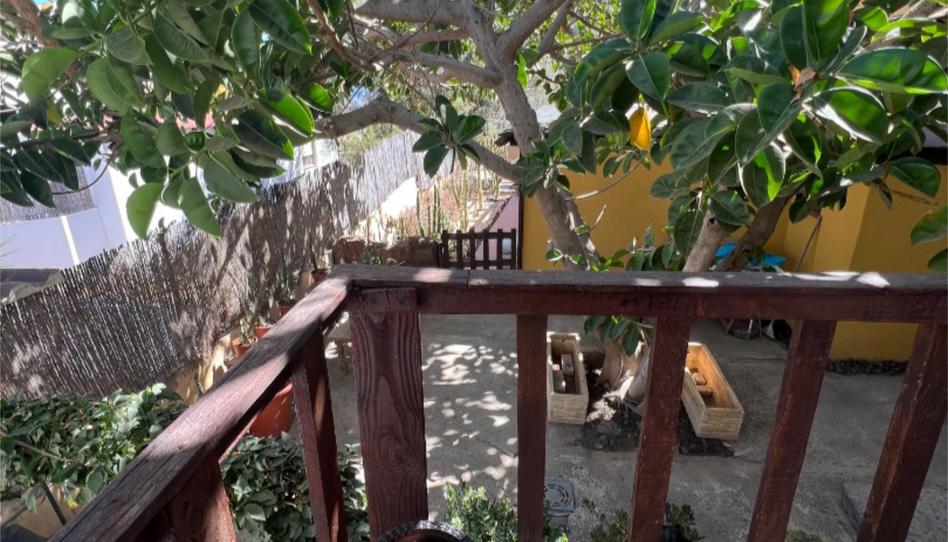 Foto 1 de Pis de lloguer a Carretera General, 15, Buzanada, Santa Cruz de Tenerife