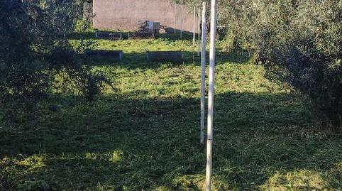 Photo 3 of Land for sale in Cm-4000, 32, La Puebla de Montalbán, Toledo