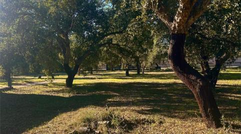 House or chalet to share in Calle Río Guadiana, 82, Avenida Elvas, Badajoz - image 2 Photo 2 of House or chalet to share in Calle Río Guadiana, 82, Avenida Elvas, Badajoz