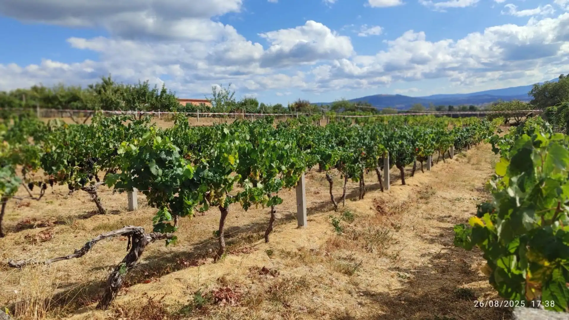 Vista exterior de Casa o xalet en venda en Monforte de Lemos amb Calefacció, Jardí privat i Parquet