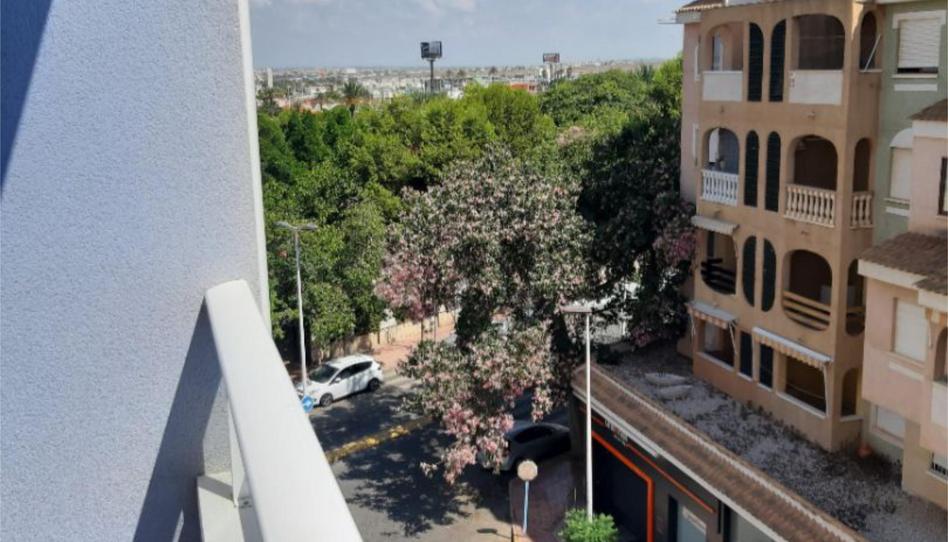 Photo 1 of Apartment to rent in Ronda Cesar Canovas Girada, 19, Parque de las Naciones, Alicante