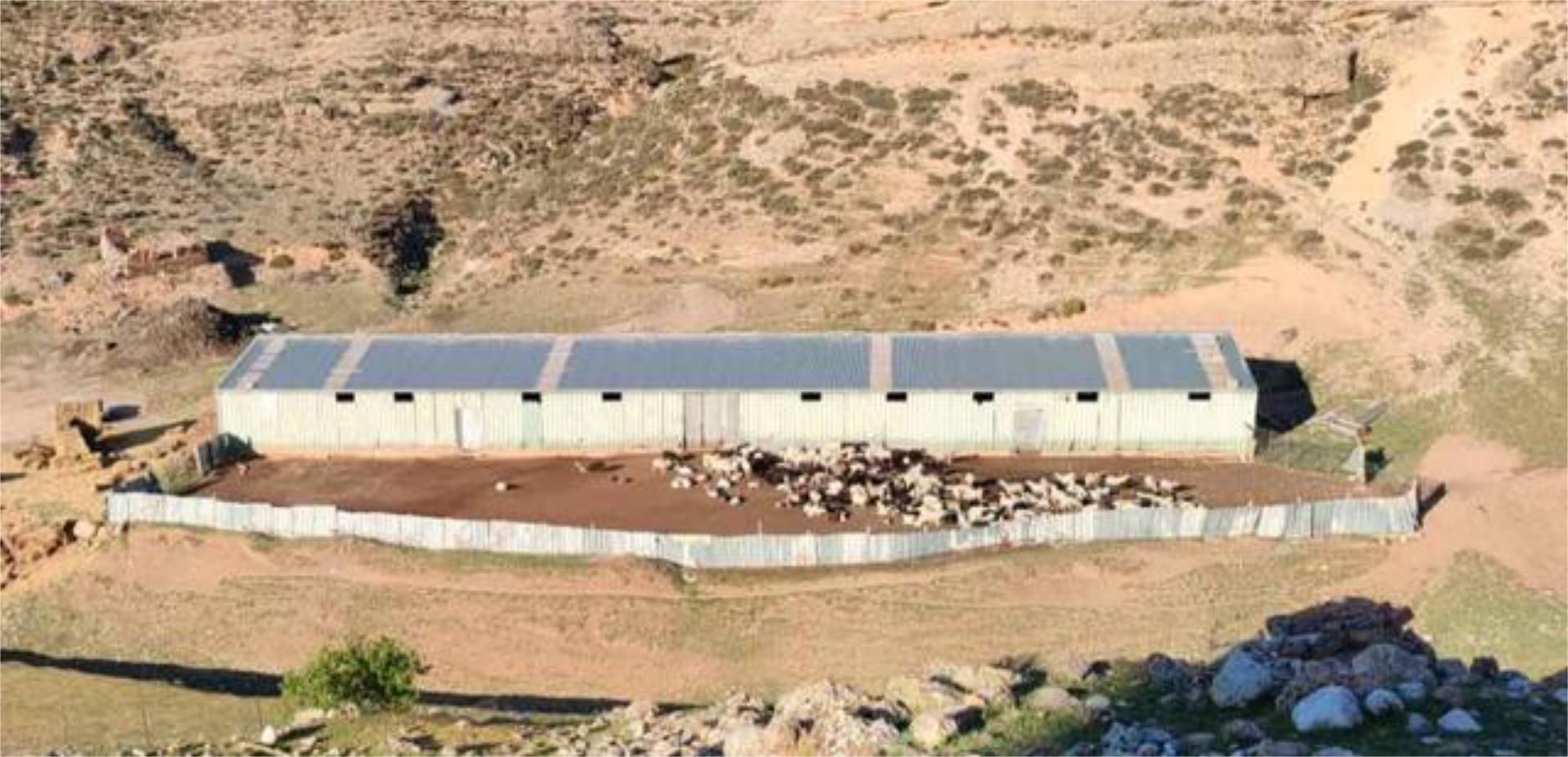 Exterior view of Industrial buildings to rent in Berlanga de Duero