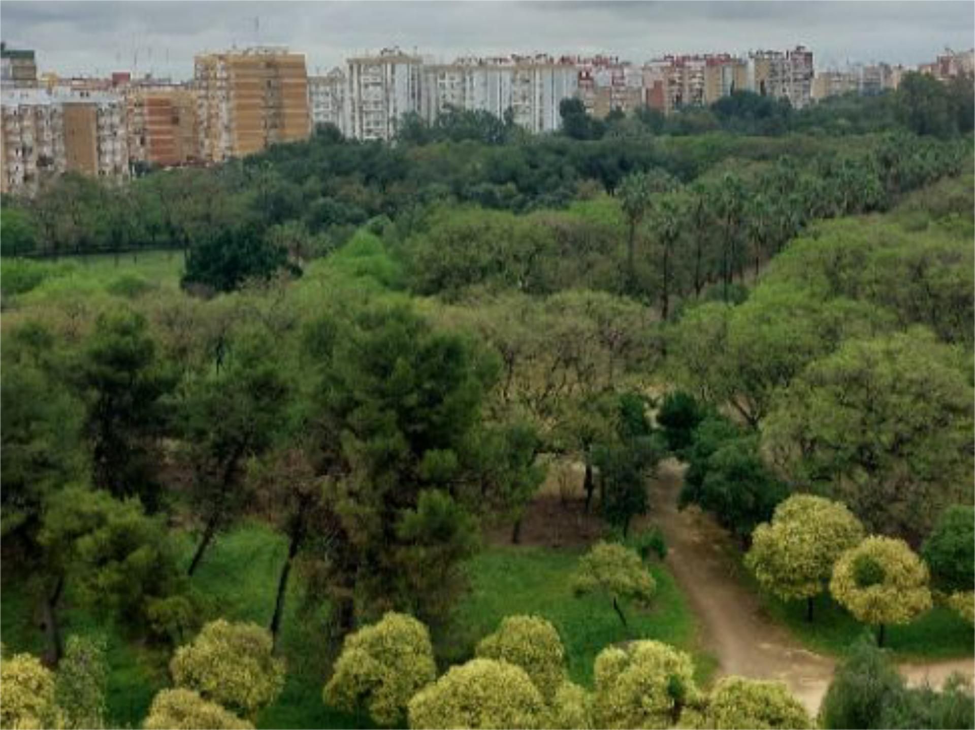 Vista exterior de Pis de lloguer en  Sevilla Capital amb Aire condicionat