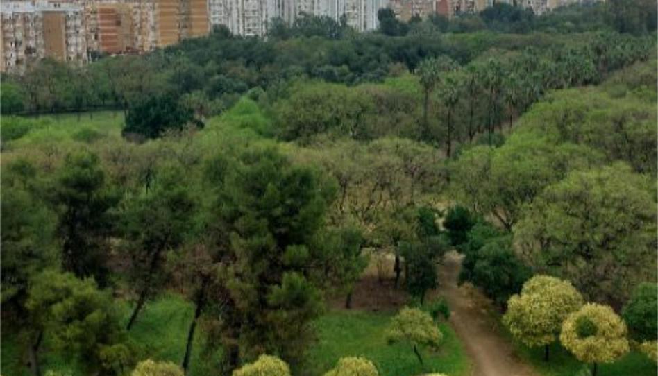 Pis de lloguer a Calle Fray Serafín de Ausejo, 9, Juan XXIII - Rochelambert, Sevilla - imatge 1 Foto 1 de Pis de lloguer a Calle Fray Serafín de Ausejo, 9, Juan XXIII - Rochelambert, Sevilla