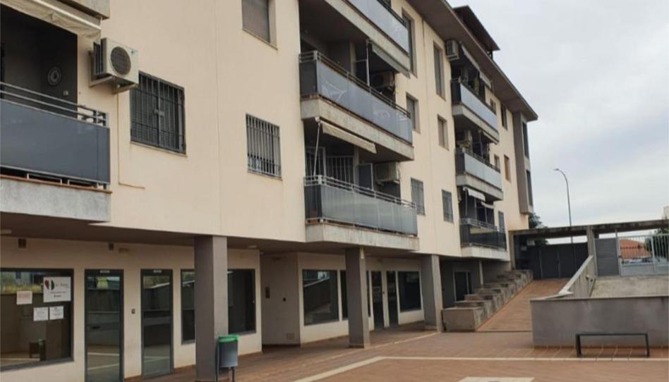 Pis en venda a Avenida Andalucía, 26, Láchar, Granada - imatge 1 Foto 1 de Pis en venda a Avenida Andalucía, 26, Láchar, Granada