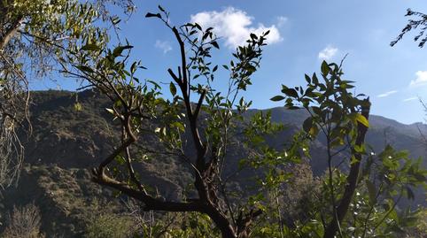 Land for sale in Puerta del Sol, 16, Sol, Madrid - image 2 Photo 2 of Land for sale in Puerta del Sol, 16, Sol, Madrid