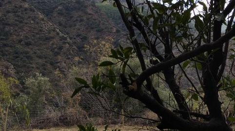 Land for sale in Puerta del Sol, 16, Sol, Madrid - image 3 Photo 3 of Land for sale in Puerta del Sol, 16, Sol, Madrid