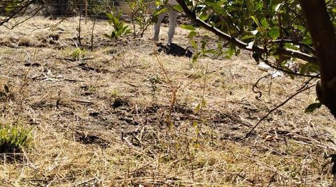 Land for sale in Puerta del Sol, 16, Sol, Madrid - image 4 Photo 4 of Land for sale in Puerta del Sol, 16, Sol, Madrid