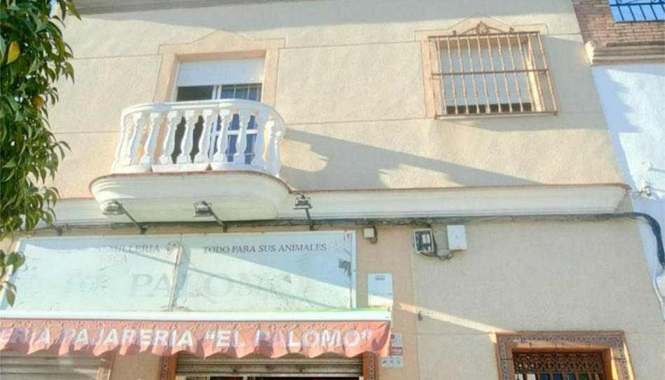 Photo 1 of Flat to rent in Avenida Alcalde Justo Padilla Burgos, 37, Guillena pueblo, Sevilla