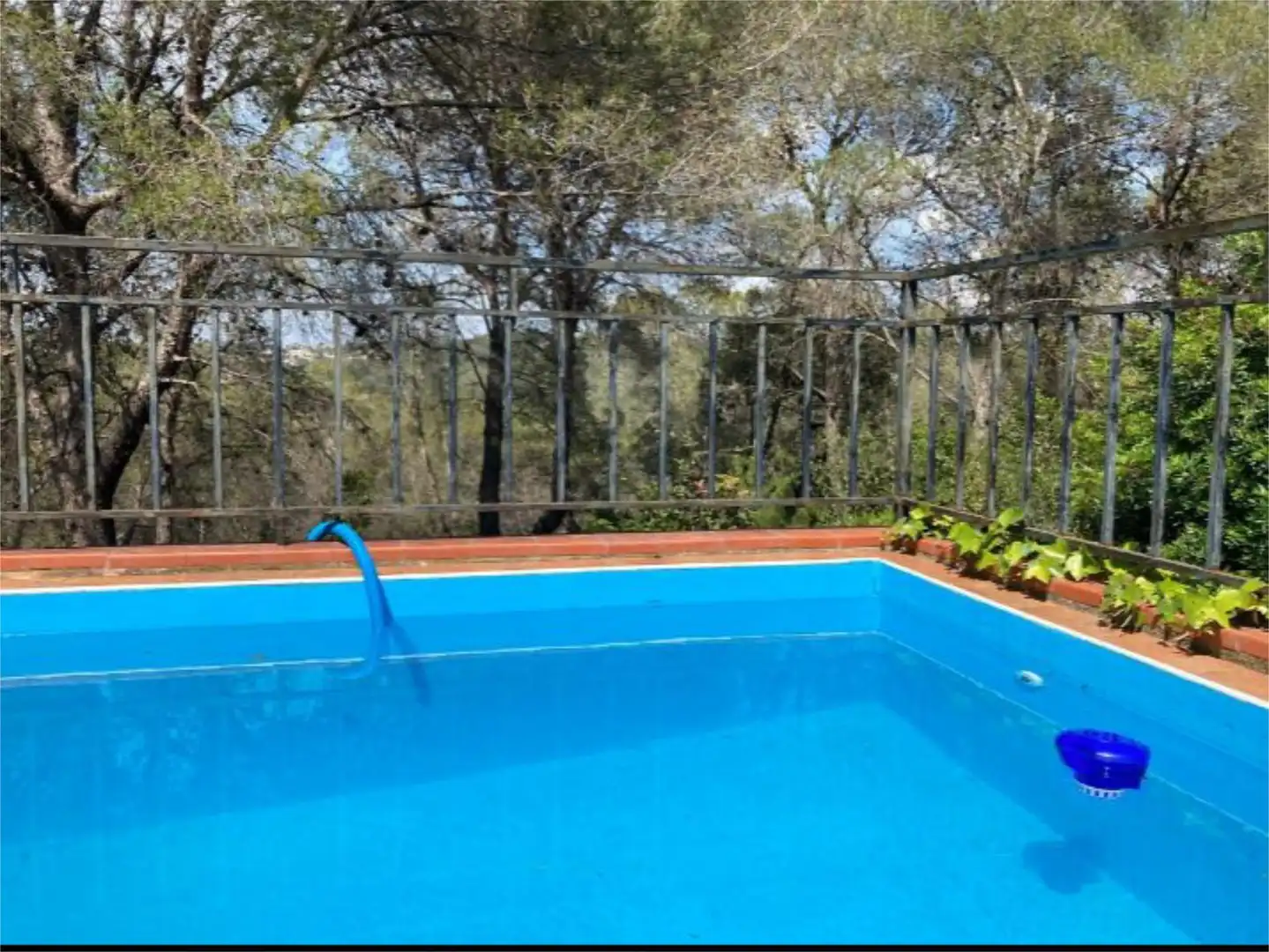 Houses for sale in Mas Romeu