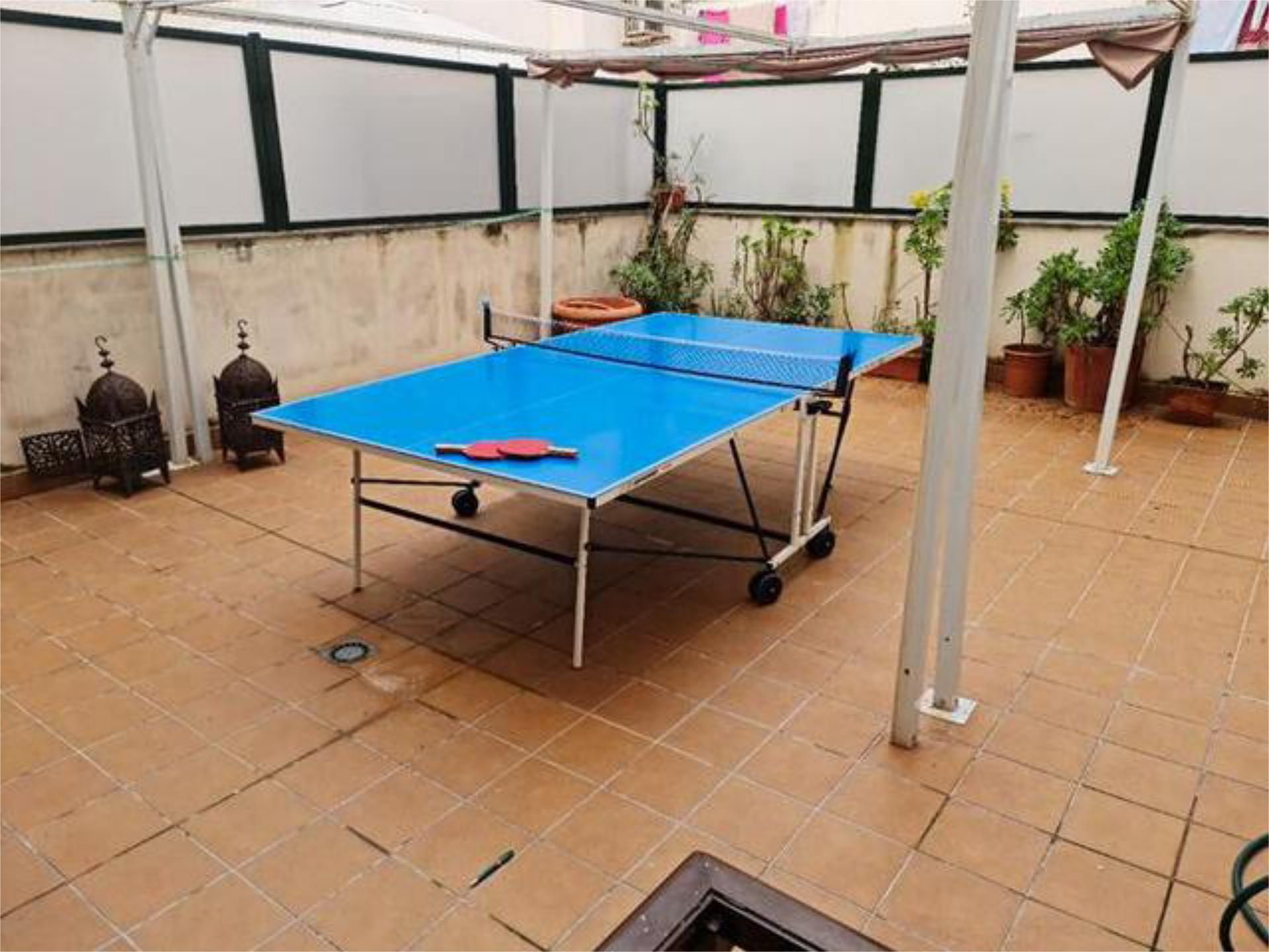 Flat to rent in San Roque - Ronda Norte