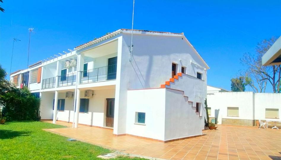 Casa o xalet de lloguer a Calle Salto de Alvarado, 36, Santa Clara, Sevilla - imatge 1 Foto 1 de Casa o xalet de lloguer a Calle Salto de Alvarado, 36, Santa Clara, Sevilla