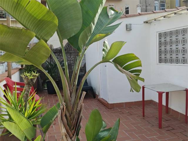 Piso en Venta en Passatge de la Independència, 10 en El Camp de l'Arpa del Clot