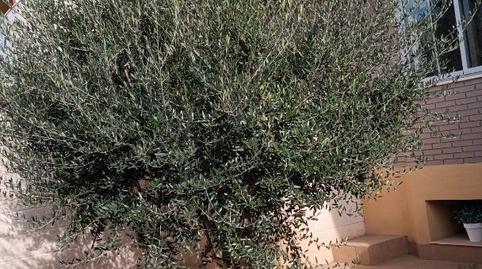 Photo 2 of Single-family semi-detached for sale in Avenida Río Jalón, 20, Plaza de Toros - Barón de Warsage, Zaragoza