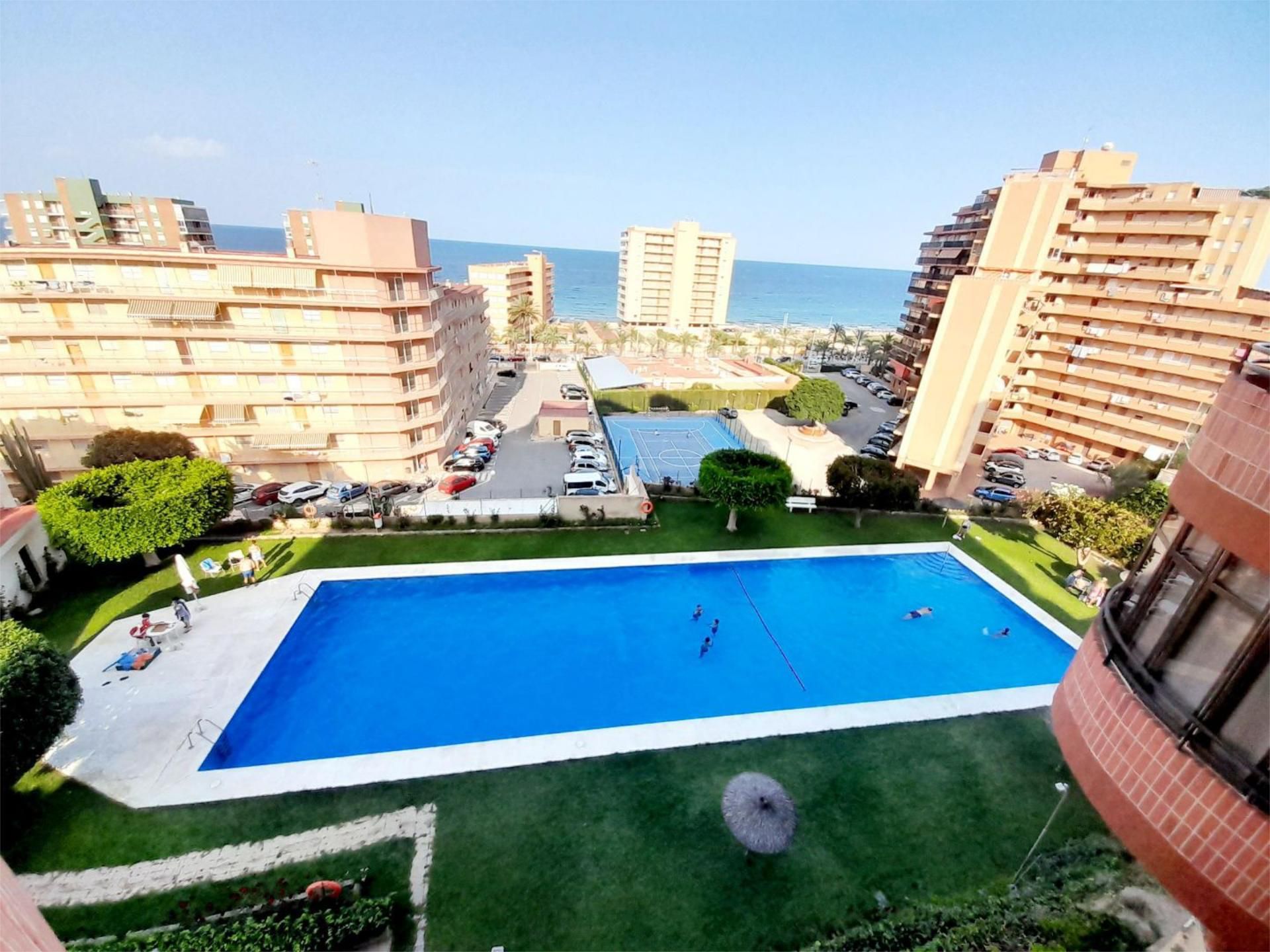 Swimming pool of Flat to rent in Elche / Elx  with Terrace, Swimming Pool and Furnished