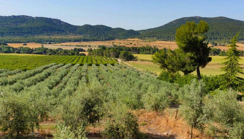 Photo 1 of Country house to rent in Partida Polop Baix, 24, Batoi, Alicante