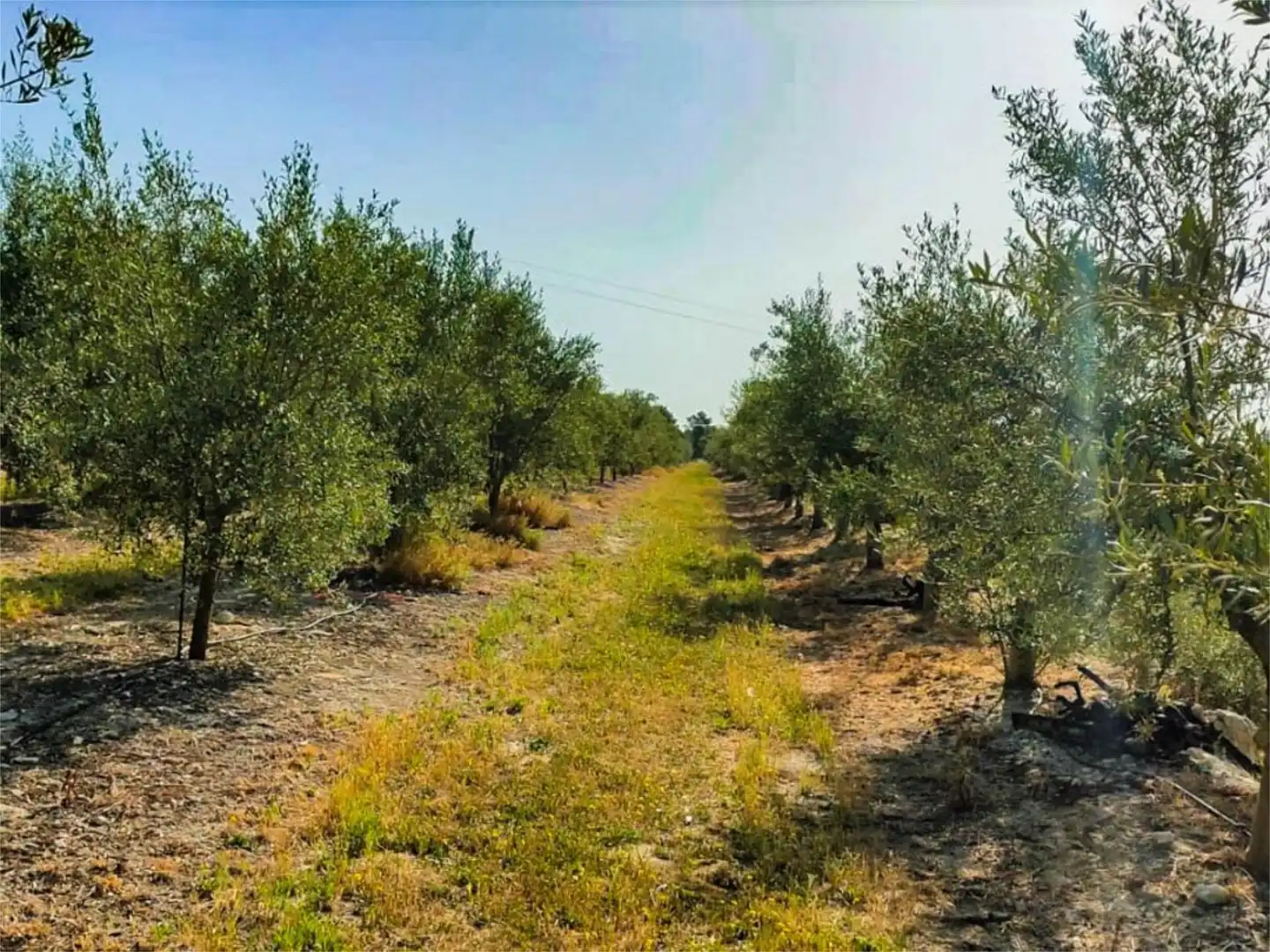 Piso de alquiler en Partida Polop Baix, 24, Batoi Piso de alquiler en Partida Polop Baix, 24, Batoi