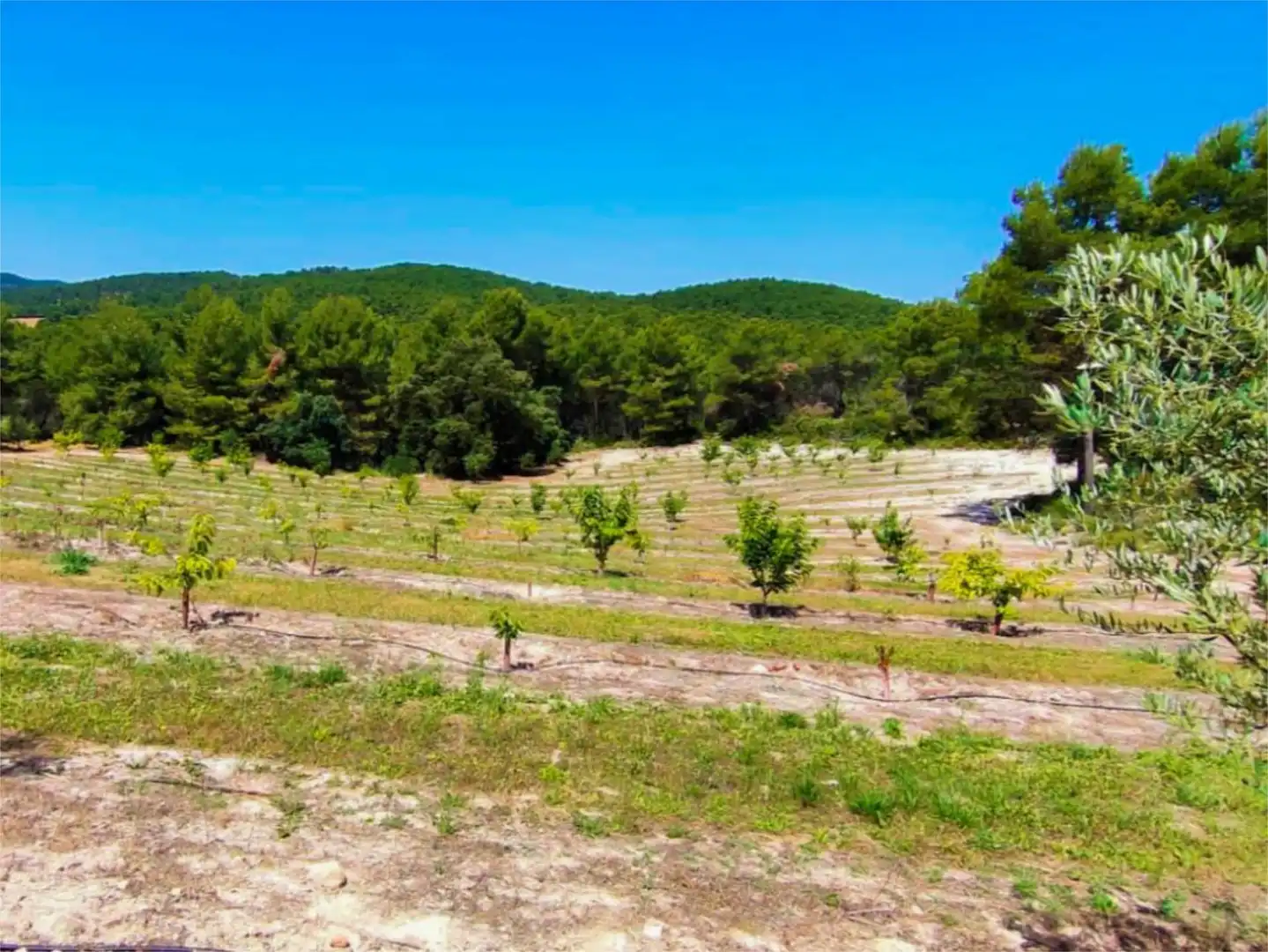 Piso de alquiler en Partida Polop Baix, 24, Batoi Piso de alquiler en Partida Polop Baix, 24, Batoi