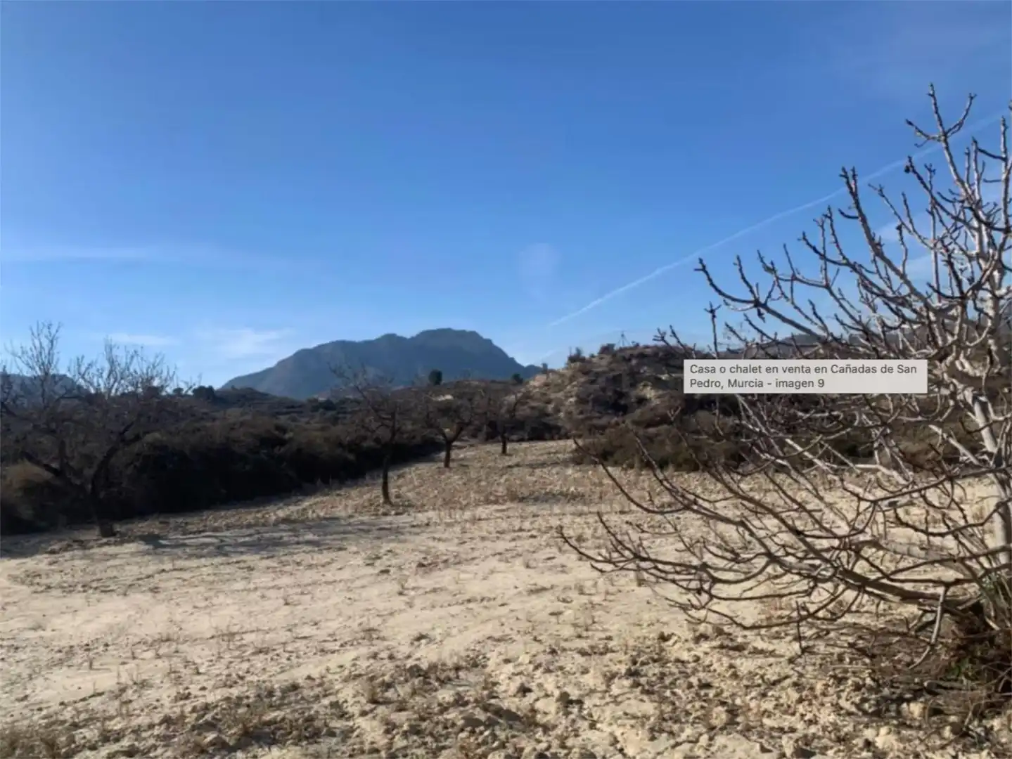 Casa o xalet en venda a Camí de la Murta-cara-sol, 3, Urbanitzacions i Pedanies Nord Casa o xalet en venda en Alzira amb Terrassa, Piscina i Balcó