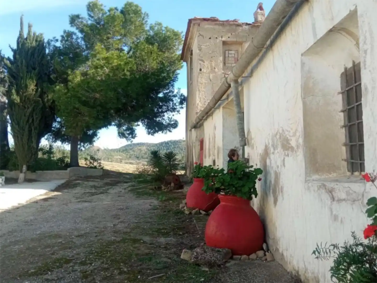 Casa o xalet en venda a Camí de la Murta-cara-sol, 3, Urbanitzacions i Pedanies Nord Vista exterior de Casa o xalet en venda en Alzira amb Terrassa, Piscina i Balcó