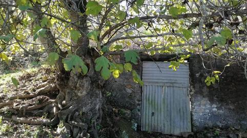 Country house for sale in Camino Lomo las Vacas, 10, Moya (Las Palmas), Las Palmas - image 5 Photo 5 of Country house for sale in Camino Lomo las Vacas, 10, Moya (Las Palmas), Las Palmas