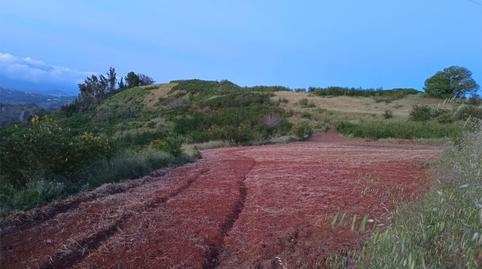 Country house for sale in Camino Lomo el Marco, 41, Moya (Las Palmas), Las Palmas - image 5 Photo 5 of Country house for sale in Camino Lomo el Marco, 41, Moya (Las Palmas), Las Palmas