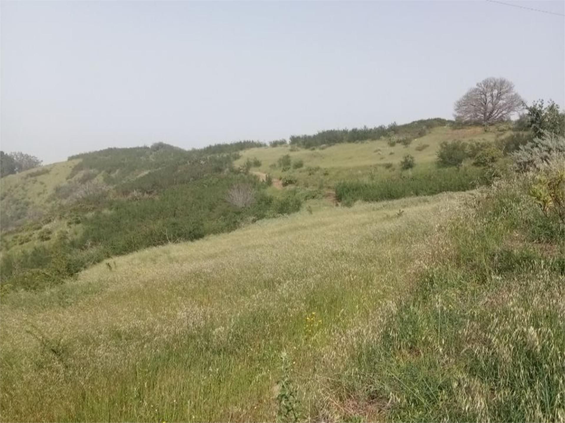 Country house for sale in Camino Lomo el Marco, 41, Moya (Las Palmas) Country house for sale in Moya (Las Palmas) with Private garden and Terrace