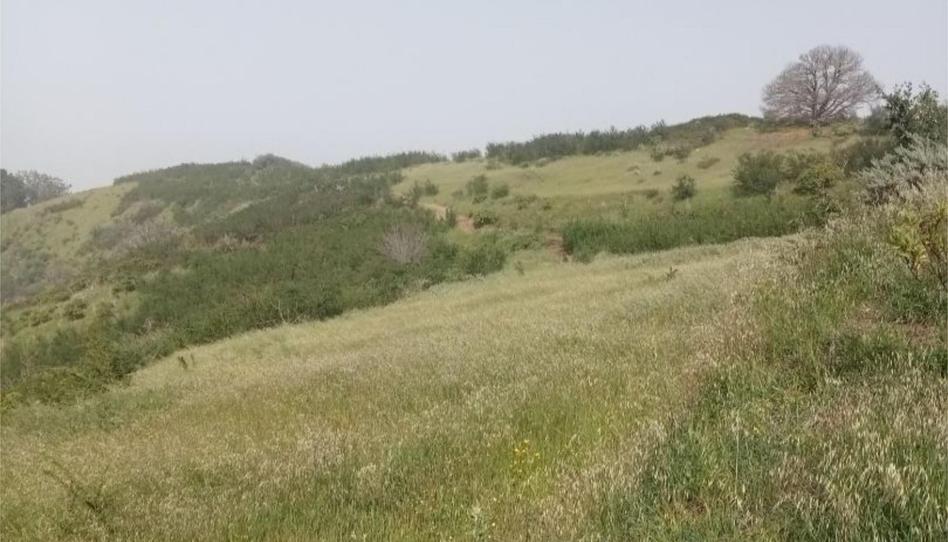 Country house for sale in Camino Lomo el Marco, 41, Moya (Las Palmas), Las Palmas - image 1 Photo 1 of Country house for sale in Camino Lomo el Marco, 41, Moya (Las Palmas), Las Palmas