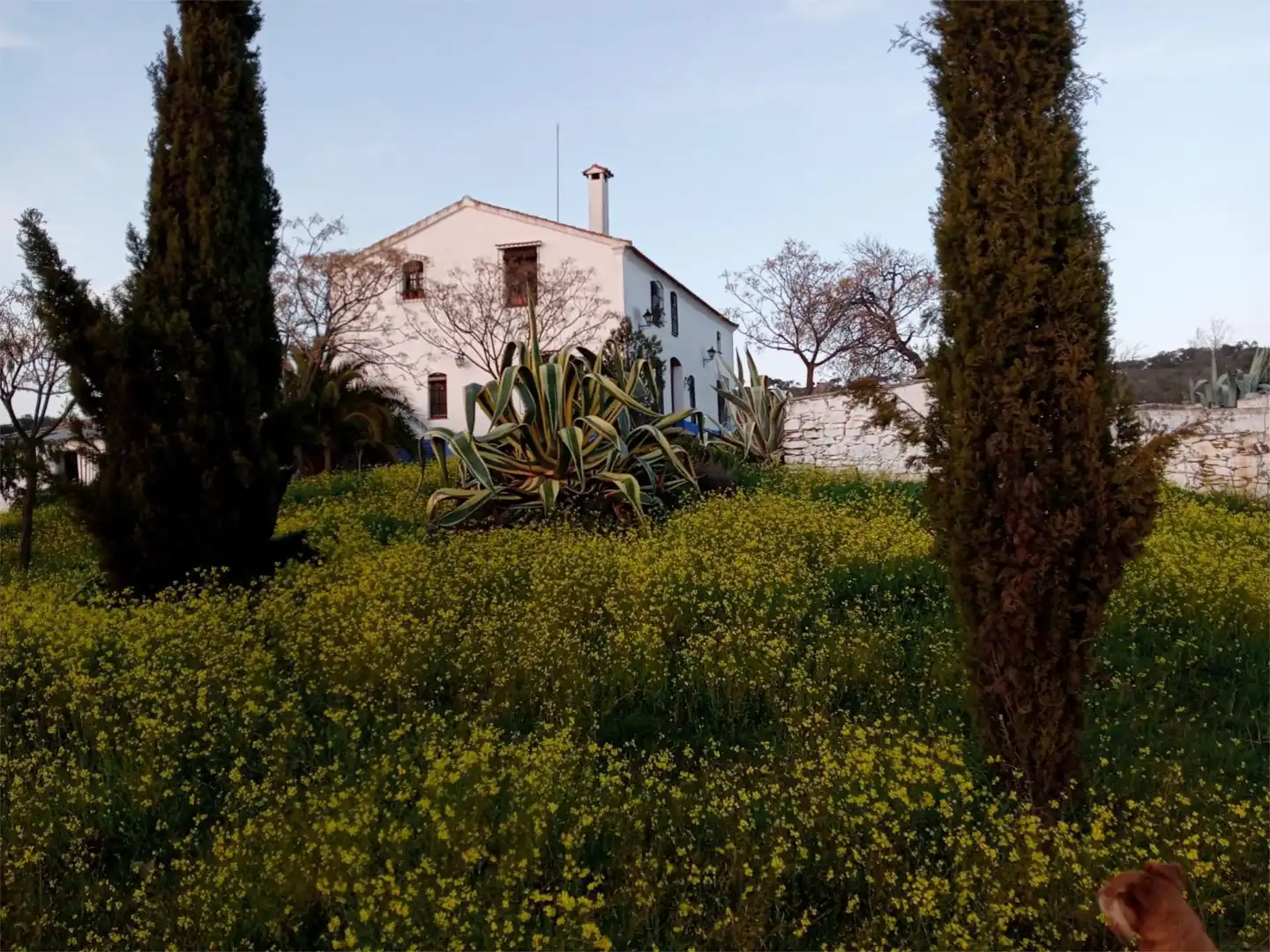Finca rústica en venta en Diseminado Diseminados, 314, Azuaga Jardín de Finca rústica en venta en Azuaga con Calefacción