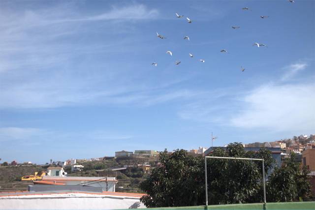 Casa-chalet en Venta en Calle las Granaderas, 42 en Icod de los Vinos pueblo