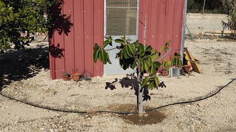 Foto 3 de Pis en venda a De Batistes, 33, La Romana, Alicante