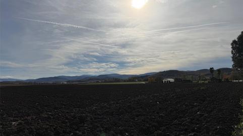 Photo 3 of Single-family semi-detached for sale in Euskadiko Hiriburuaren Etorbidea, 25, Salburua - Arantzabela, Araba - Álava