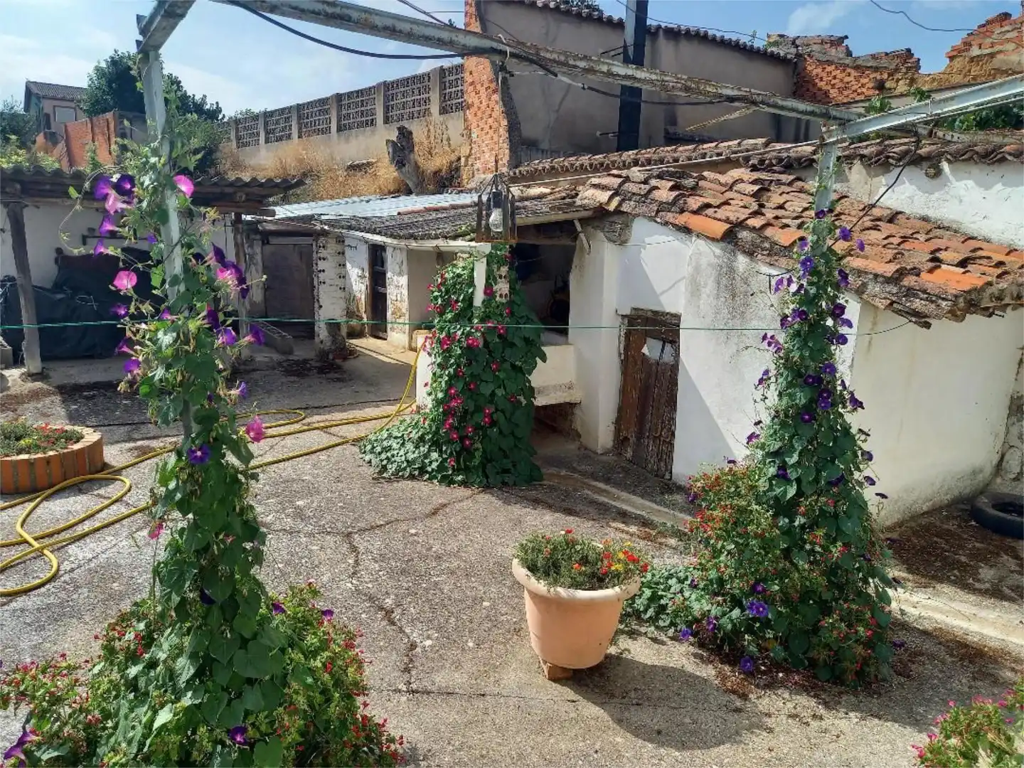 Exterior view of Detached homes for sale in Corrales del Vino