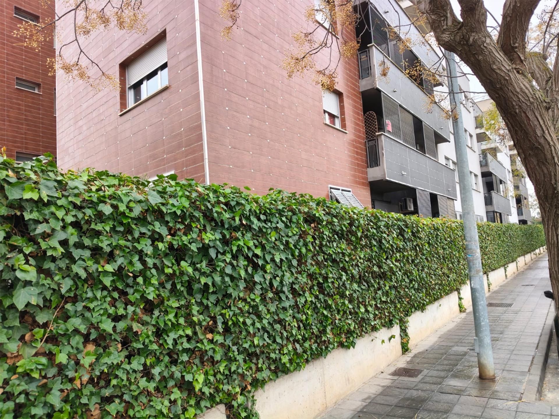 Flat to rent in Camino Acequia Baja, Carretera de Granada - La Alcazaba Exterior view of Flat to rent in Alhendín with Air Conditioner, Heating and Private garden