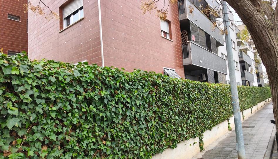 Photo 1 of Flat to rent in Camino Acequia Baja, 4a, Carretera de Granada - La Alcazaba, Granada