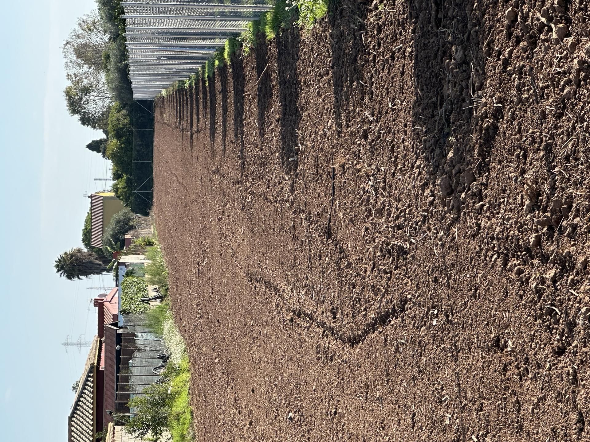 Garden of Land for sale in Castellón de la Plana / Castelló de la Plana